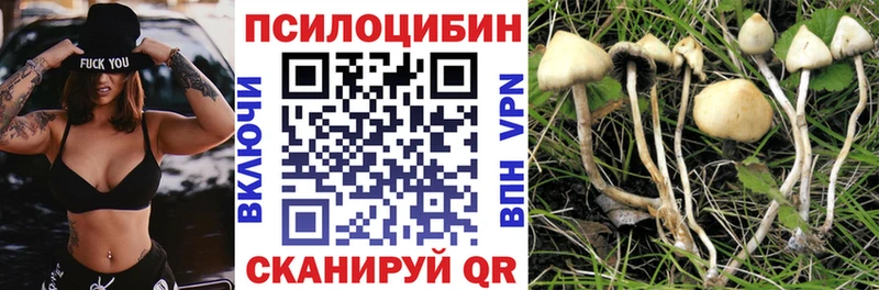 Псилоцибиновые грибы прущие грибы  хочу наркоту  Облучье 